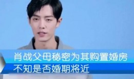 肖战爸爸爆料了吗视频播放,揭秘背后真相